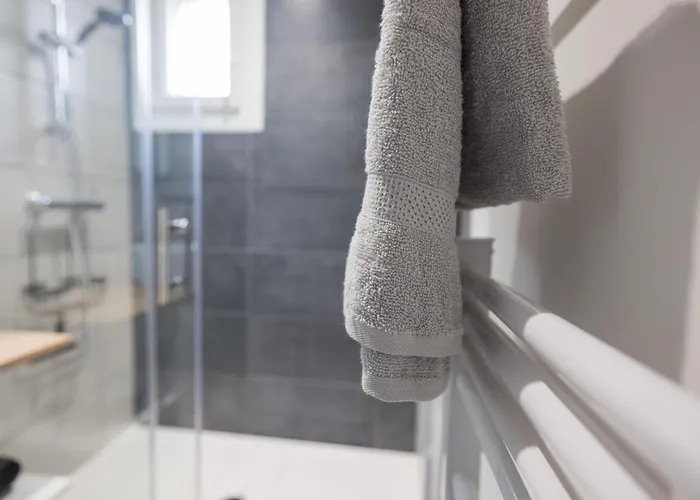 Moissan Bastille Grenoble